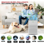 Honeywell Air Touch P1 Air Purifier with H13 HEPA Filter