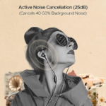 Boat Bassheads 122 ANC Wired in Ear Earphones