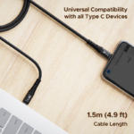 boAt C300 Type-C Fast Charging Cable