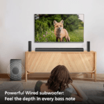 Philips Audio TAB4529/94 5.1CH Soundbar with Wireless Satellites