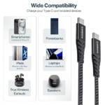 Ambrane BCTT-10 Braided Type C to Type C Cable (1m)